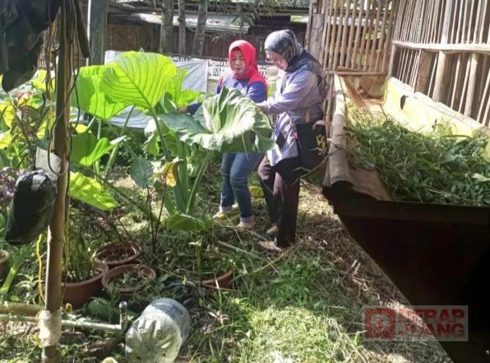 Gandeng Dinkes Salatiga, Dian Lakukan Pemberantasan Sarang Nyamuk