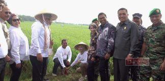 Menteri ATR/BPN Kunjungi Cilacap, Taufik Siap Gebuk Mafia Tanah