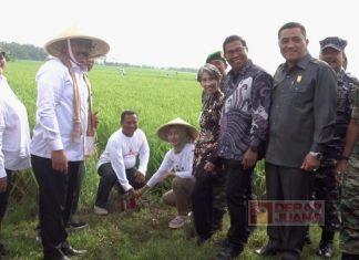 Menteri ATR/BPN Kunjungi Cilacap, Taufik Siap Gebuk Mafia Tanah