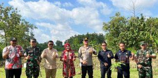 Sri Sumarni Lakukan Reboisasi, Sebagai Sarana Merawat Alam