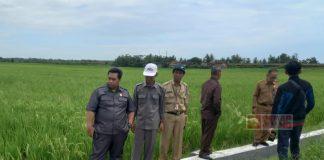 Tinjau Pembagunan Irigasi Pertanian Maos, Purwanto: Semoga Meningkatkan Hasil Tani