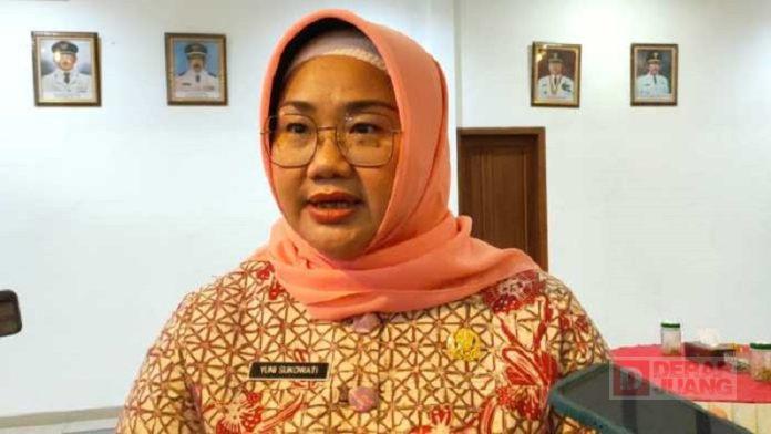 WhatsApp Image 2023-02-16 at 10.15.04