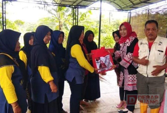 WhatsApp Image 2023-02-19 at 16.10.31