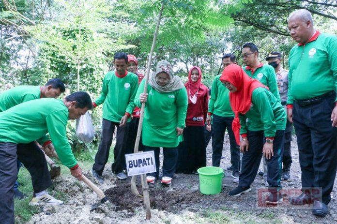 WhatsApp Image 2023-02-25 at 13.16.17