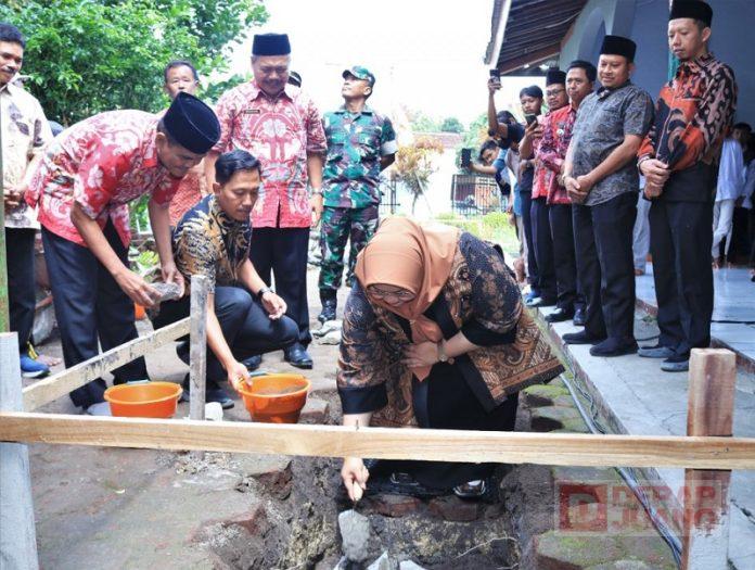 WhatsApp Image 2023-02-27 at 10.56.25