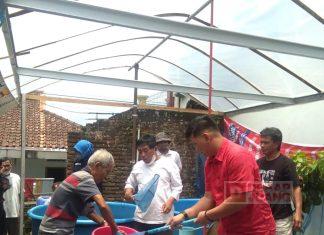 Bonar Hadiri Acara Panen Raya Ikan Lele di Margosari