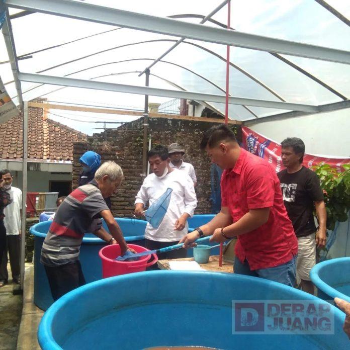 Bonar Hadiri Acara Panen Raya Ikan Lele di Margosari