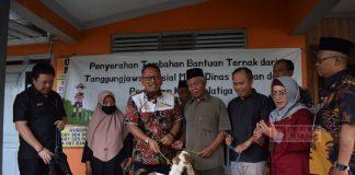 Bung Dance Serahkan Bantuan Kambing, Sekaligus Tinjau Komoditas Pangan