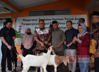 Bung Dance Serahkan Bantuan Kambing, Sekaligus Tinjau Komoditas Pangan