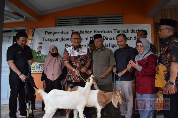 Bung Dance Serahkan Bantuan Kambing, Sekaligus Tinjau Komoditas Pangan