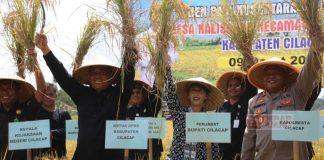 Hadiri Panen Padi 1 Juta Hektar, Taufik Nurhidayat Ingin Harga Beras Stabil