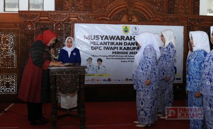 WhatsApp Image 2023-03-08 at 15.40.26