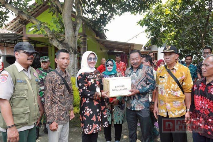 WhatsApp Image 2023-03-10 at 14.16.42