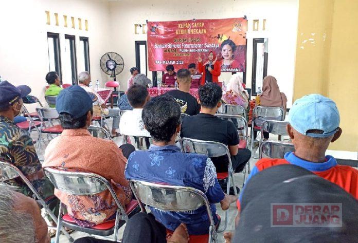 WhatsApp Image 2023-03-12 at 11.48.21