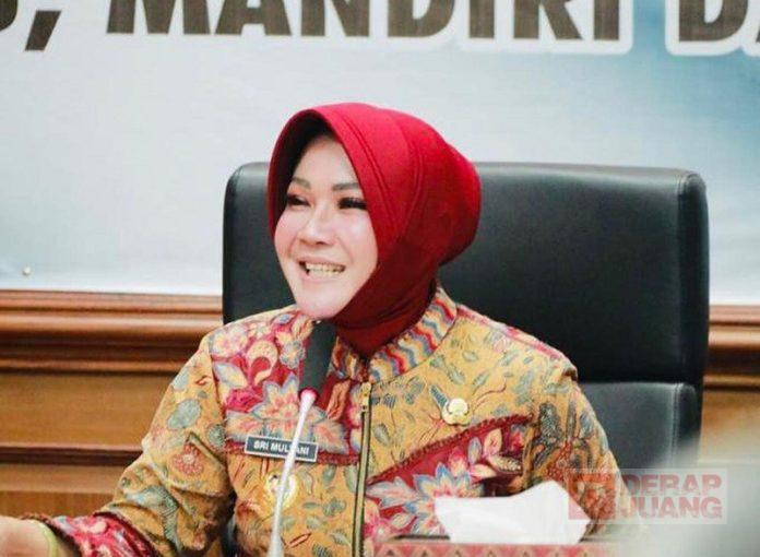 WhatsApp Image 2023-03-23 at 14.27.13