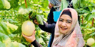 Siapkan 8 Program Kemitraan, Jurus Dewi Aryani Atasi Pengangguran di Tegal