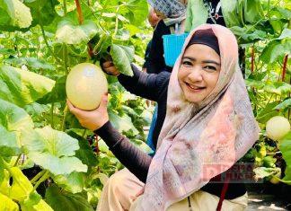 Siapkan 8 Program Kemitraan, Jurus Dewi Aryani Atasi Pengangguran di Tegal