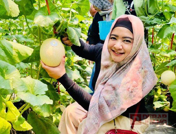 Siapkan 8 Program Kemitraan, Jurus Dewi Aryani Atasi Pengangguran di Tegal