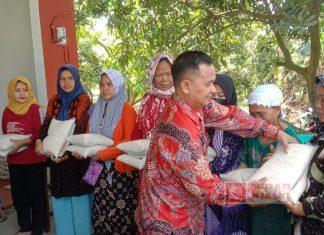 Sumar Rosul Bagikan Bantuan Hibah Gabah ke Petani