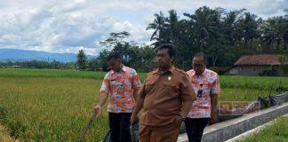 Tinjau Pembangunan Irigasi di Majenang, Purwanto Harap Dapat Tingkatkan Produksi Pertanian