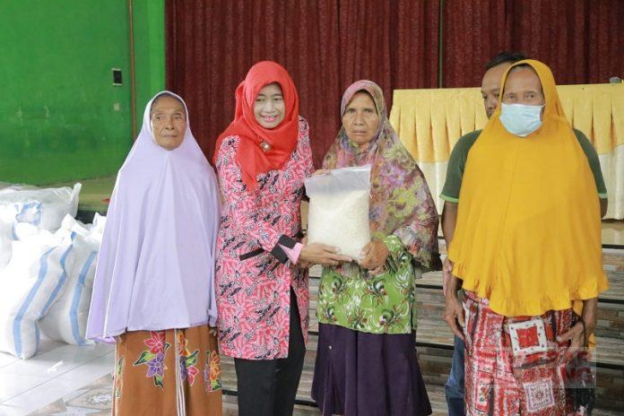 WhatsApp Image 2023-04-03 at 14.40.03