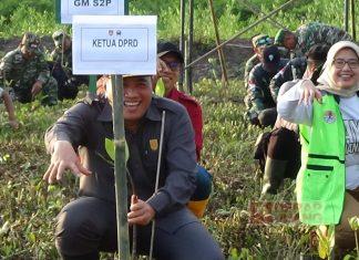 Cegah Abrasi Pantai, Taufik Tanam Mangrove Bersama TNI/Polri