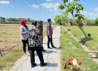 Dewi Megawati Tinjau Lokasi Bantuan CSR di Desa Jambon Grobogan