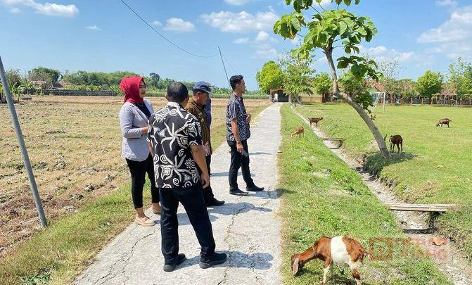 Dewi Megawati Tinjau Lokasi Bantuan CSR di Desa Jambon Grobogan