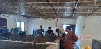 Tinjau Budidaya Ikan Air Tawar, Purwanto Ajak Masyarakat Gemar Makan Ikan