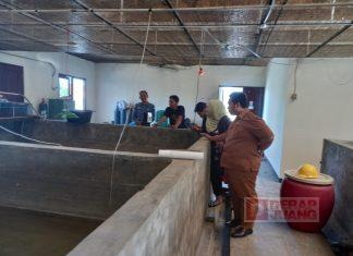 Tinjau Budidaya Ikan Air Tawar, Purwanto Ajak Masyarakat Gemar Makan Ikan