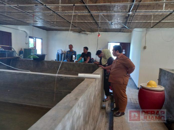 Tinjau Budidaya Ikan Air Tawar, Purwanto Ajak Masyarakat Gemar Makan Ikan