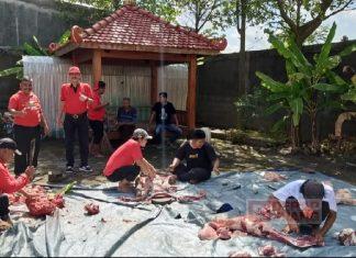 DPC PDI Perjuangan Blora Salurkan 1 Ton Daging Hewan Kurban