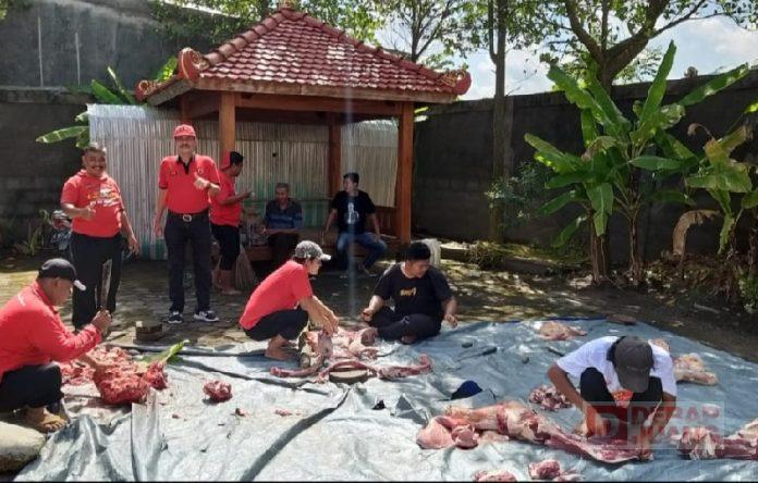 DPC PDI Perjuangan Blora Salurkan 1 Ton Daging Hewan Kurban