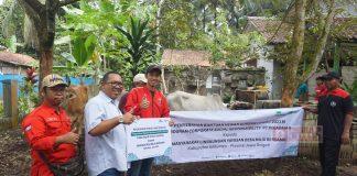 Komunitas Juang Banyumas Terima Hewan Qurban dari Mbak Puan