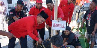 Prosesi Idul Adha di Panti Marhaen Dilaksanakan Secara Gotong Royong