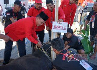 Prosesi Idul Adha di Panti Marhaen Dilaksanakan Secara Gotong Royong