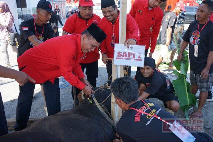 Prosesi Idul Adha di Panti Marhaen Dilaksanakan Secara Gotong Royong