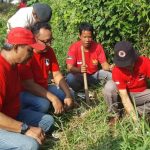 Rangkaian Bulan Bung Karno, Baguna Kota Pekalongan Tanam Ratusan Bibit Pohon