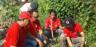 Rangkaian Bulan Bung Karno, Baguna Kota Pekalongan Tanam Ratusan Bibit Pohon