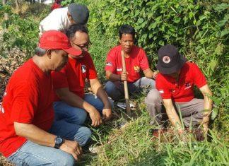 Rangkaian Bulan Bung Karno, Baguna Kota Pekalongan Tanam Ratusan Bibit Pohon