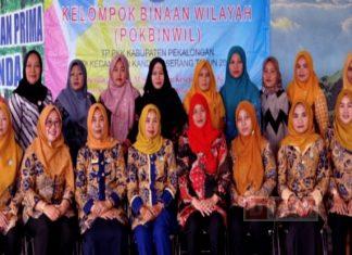 Gelar Pokbinwil, Widi Riswadi Ajak Kader PKK Aktif Bermedia Sosial