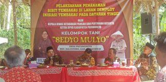 Dion Agasi Inisiasi Penanaman Bibit Tembakau di Dataran Tinggi