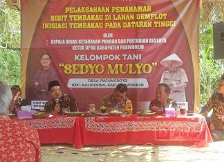 Dion Agasi Inisiasi Penanaman Bibit Tembakau di Dataran Tinggi