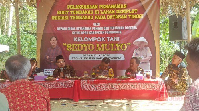 Dion Agasi Inisiasi Penanaman Bibit Tembakau di Dataran Tinggi.