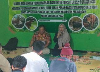 Narasumberi Bimtek, Endang Ungkap Kendala Peternak Ruminansia