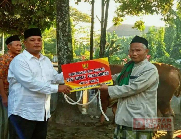 Idul Adha, Riswadi Serahkan 5 Sapi dan 8 Kambing ke Masjid.