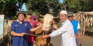 Serahkan Hewan Kurban, Zaenudin Jadikan Bukti Syukur Pada Allah SWT