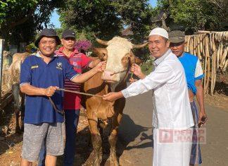 Serahkan Hewan Kurban, Zaenudin Jadikan Bukti Syukur Pada Allah SWT