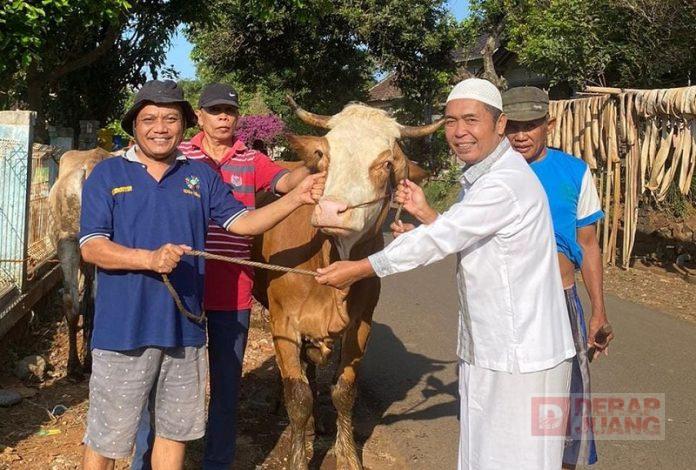 Serahkan Hewan Kurban, Zaenudin Jadikan Bukti Syukur Pada Allah SWT