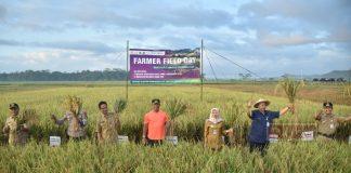 Wabup Rista Hadiri Panen Raya Percontohan Petani Cerdas Iklim di Desa Kamulyan